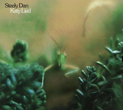 Album cover of Katy Lied by Steely Dan
